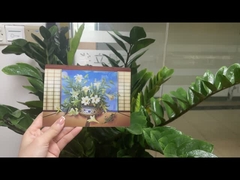 Cartolina Lenticolare Stampa Tucani Animali selvatici Cartolina 3D Per Zoo Pack Animali marini