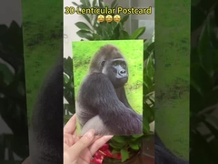 3D Cambiare Immagini Cartolina di anniversario Cartolina di matrimonio di compleanno Immagini di stampa 3D