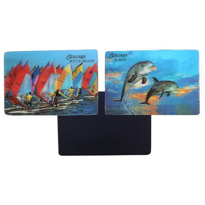 Magneti 3D per frigoriferi Magneti 3D lenticolari Magneti frigoriferi creativi Magneti magnetici 3D Magneti turistici Souvenir