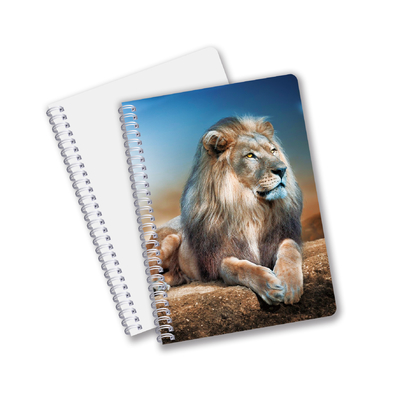 Al dettaglio 3D Effect 3D Lenticular Printing Notebook Hardcover Spiral Bound Notebook Perforated Notebook For Kids