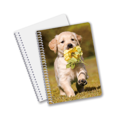 Al dettaglio 3D Effect 3D Lenticular Printing Notebook Hardcover Spiral Bound Notebook Perforated Notebook For Kids