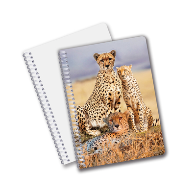 Al dettaglio 3D Effect 3D Lenticular Printing Notebook Hardcover Spiral Bound Notebook Perforated Notebook For Kids