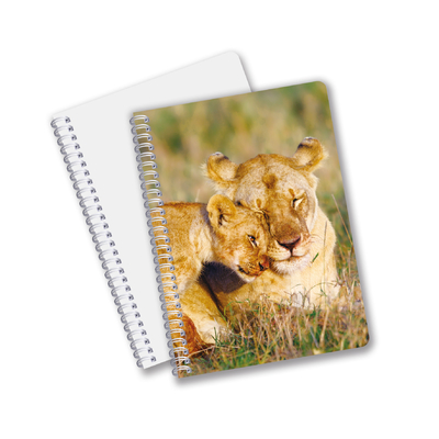 Uso quotidiano Buona qualità Made in China Eco-friendly PET Lasting Custom Sheets 3D Lenticular Spiral Notebook