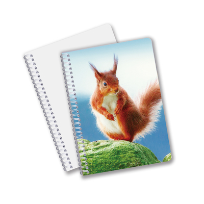 Uso quotidiano Buona qualità Made in China Eco-friendly PET Lasting Custom Sheets 3D Lenticular Spiral Notebook