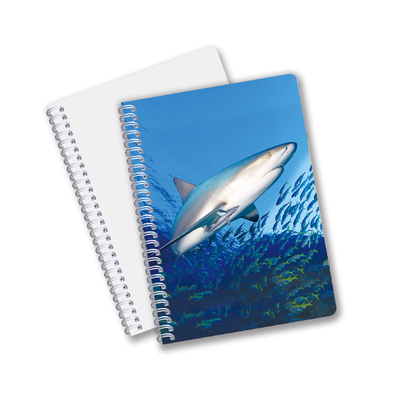 Uso quotidiano Buona qualità Made in China Eco-friendly PET Lasting Custom Sheets 3D Lenticular Spiral Notebook