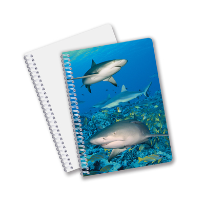Prodotti scolastici 3D Quaderno di appunti a forma di lenticola Quaderno a forma di spirale personalizzato per studenti e ufficio