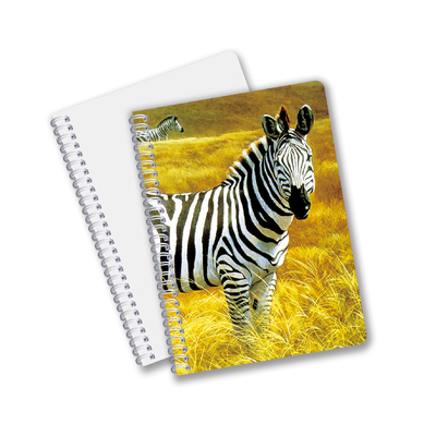 Commercio all'ingrosso notebook per la stampa 3D in forma di spirale con lenticella in formato CMYK in formato PET per lavori di ufficio