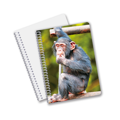 Fabbrica Custom B5 A5 A6 Stampa 3D Quaderno Lenticolare Carino Quaderno Spirale Studente