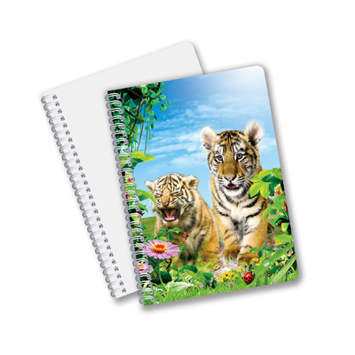 Fabbrica Custom B5 A5 A6 Stampa 3D Quaderno Lenticolare Carino Quaderno Spirale Studente