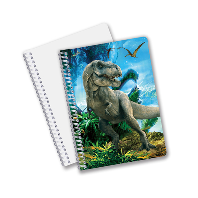 Buona qualità Materiale PET 3D lenticolare personalizzato Promozione Regalo Spiral 3D Notebook di stampa