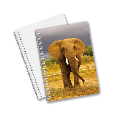 Cina Prodotti a basso prezzo Stampa 3d a lenticola su misura Fiori Animali Carta dura Notebook riutilizzabile con logo