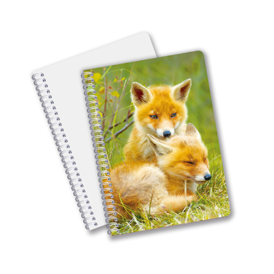Cina Prodotti a basso prezzo Stampa 3d a lenticola su misura Fiori Animali Carta dura Notebook riutilizzabile con logo