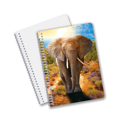 Cina Fabbrica 3D Lenticolare Custom offset stampato PET A3/A4/A5/A6 Notebooks