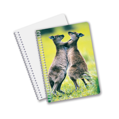 A5 A4 Standard Notebook 3D economico Personalizzabile 3D Lovely Panda Journal Notebook