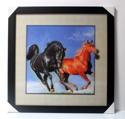 40 X 40cm Foto 3D Lenticolare Flip Picture all'ingrosso / Stampa 3D Lenticolare su misura Cartello 3D Foto Lenticolare con animale
