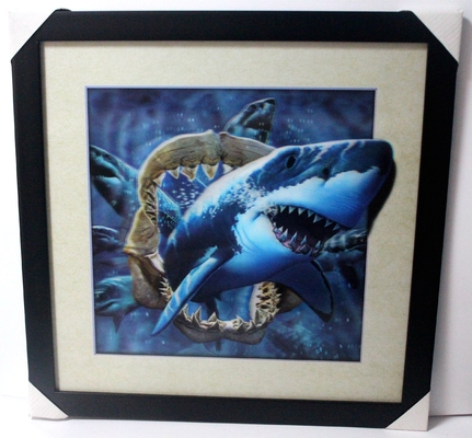 40 X 40cm Foto 3D Lenticolare Flip Picture all'ingrosso / Stampa 3D Lenticolare su misura Cartello 3D Foto Lenticolare con animale