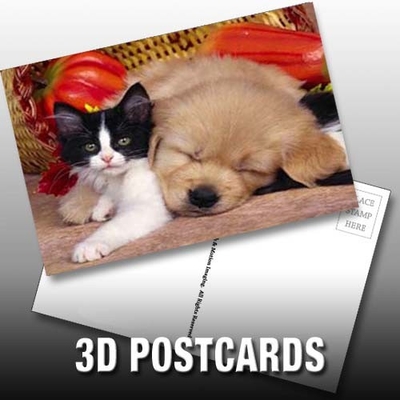 Flip Effect 3D Lenticolare Cartolina Piccoli cuccioli e gattini Disegno