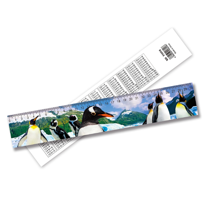 Prezzo di fabbrica 3D Lenticular Ruler Anime Flip Ruler Personalizzazione Per Scuola Per Ufficio