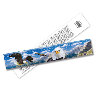 Regola 3D lenticolare Flip Ruler personalizzare articoli per bambini all'ingrosso