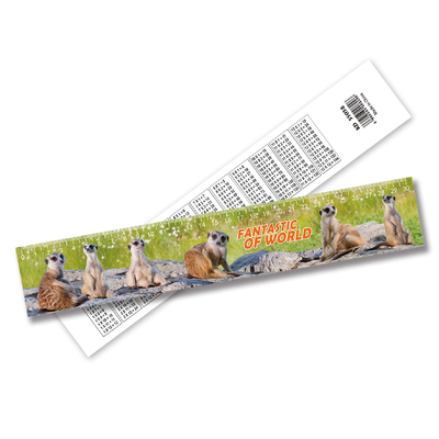 Cute Fancy Printing 3D Lenticular Ruler Plastic Flexible Ruler Forma personalizzata