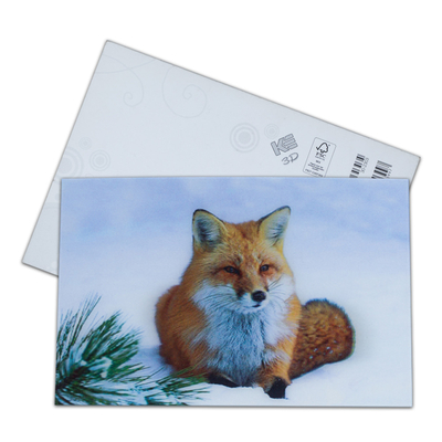 Cartolina Lenticolare Stampa Tucani Animali selvatici Cartolina 3D Per Zoo Pack Animali marini
