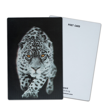 Personalizza cartoline 3D Lenticolari Dinosauro Animali selvatici per lo zoo