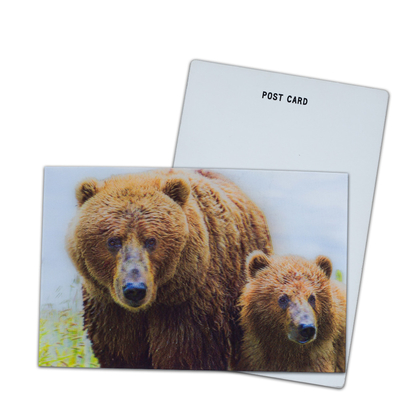 Orso Marrone In Alaska Cartolina Lenticolare Cartolina regalo per turisti Cartoline 3D