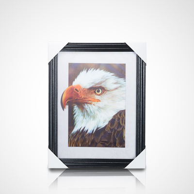 Best-seller Lenticulatore 3D Foto Lenticulatore Poster Flip Picture Anime Poster 3D Lenticulatore