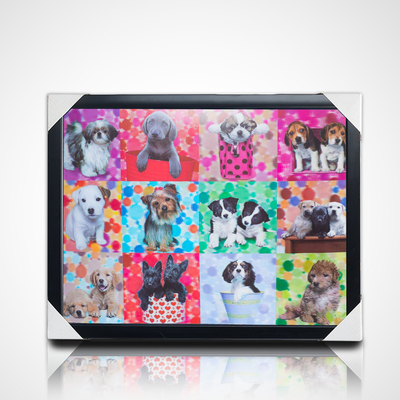 Pittura 3D Lenticolare Con Cornice Nera 40*30cm PET 5D 3D Cornici Foto Lenticolare Artwork Immagini Moderne