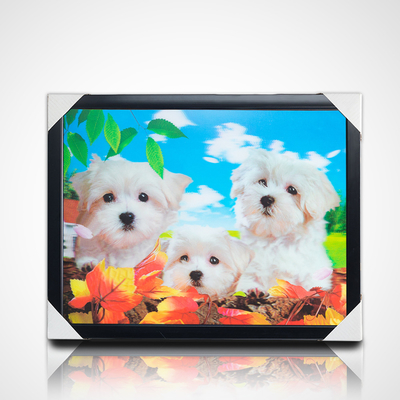 Custom 30*40 cm Anime Giapponese Pittura Anime Immagini 3D Poster Lenticolare Anime Poster per Decorazioni murali