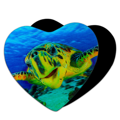 Magneti 3D Animali marini Shark delfino Tartaruga Lenticolare Carta di stampa per i regali