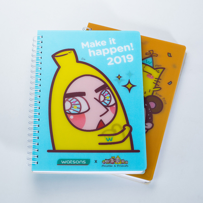 A5 A4 Standard Notebook 3D economico Personalizzabile 3D Lovely Panda Journal Notebook
