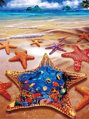 Sealifes Dolphin Turtle Shark Lenticular 3D Motion Card Suvenir Gift Card