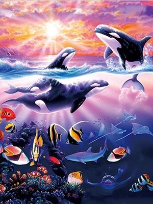 Sealifes Dolphin Turtle Shark Lenticular 3D Motion Card Suvenir Gift Card