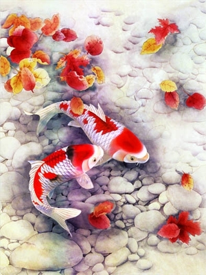 Sealifes Dolphin Turtle Shark Lenticular 3D Motion Card Suvenir Gift Card