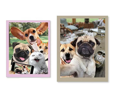 Nuovi prodotti Cartoline di auguri 3d con serie di animali interessanti