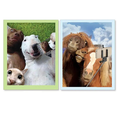 Nuovi prodotti Cartoline di auguri 3d con serie di animali interessanti
