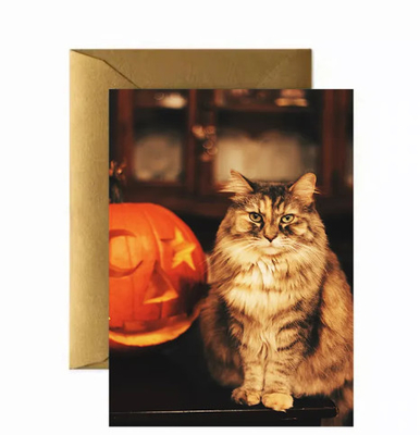 High Quality 3D Lenticular Anime Stile di lusso Stampatura Taglio carta di lavoro personale Cartolina di auguri Lenticular
