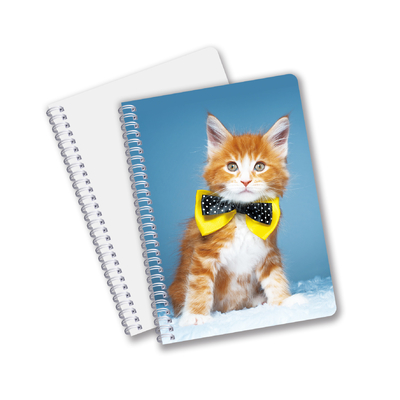 Al dettaglio 3D Effect 3D Lenticular Printing Notebook Hardcover Spiral Bound Notebook Perforated Notebook For Kids