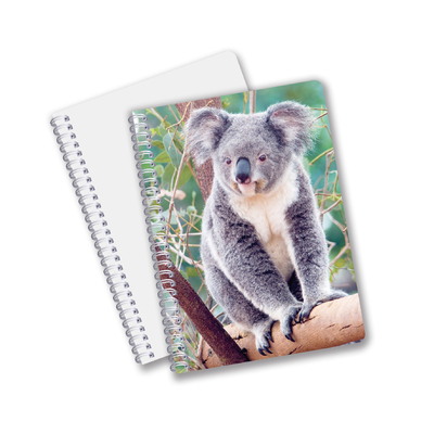 Uso quotidiano Buona qualità Made in China Eco-friendly PET Lasting Custom Sheets 3D Lenticular Spiral Notebook