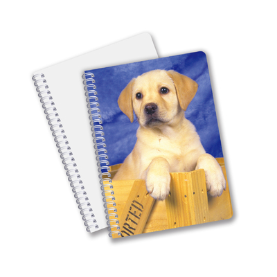 Cina Fabbrica 3D Lenticolare Custom offset stampato PET A3/A4/A5/A6 Notebooks