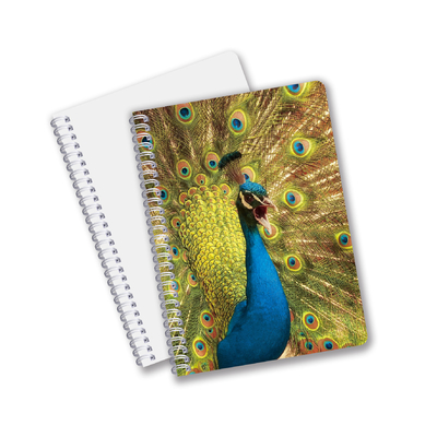 Buona qualità Materiale PET 3D lenticolare personalizzato Promozione Regalo Spiral 3D Notebook di stampa