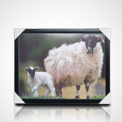 Stampa 3D di manifesti 3D PET Lenticolari personalizzati Pittura 3D con telaio PS nero per la decorazione domestica