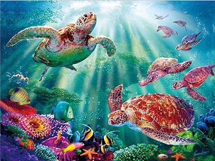 Sealifes Dolphin Turtle Shark Lenticular 3D Motion Card Suvenir Gift Card